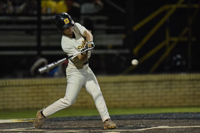 SUN_8670-DeNoiseAI-low-light